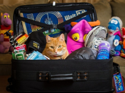 Воронежский Роспотребнадзор напомнил родителям, как собрать ребенка в лагерь