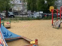 Абсурд человейников вскрыл спортивный воронежец 