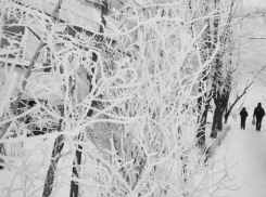 Сколько продлятся адские морозы в Воронеже, показал прогноз гидрометцентра