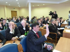 За кресла депутатов в воронежской городской Думе поборются еще два кандидата