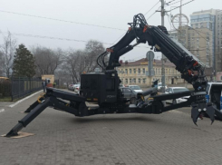 «Доктор Октавиус, ты ли это?» – огромного робота заметили у воронежского вуза