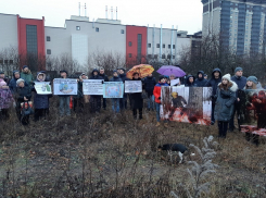 В Воронеже потребовали от власти оставить яблоневый сад в покое