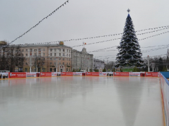 Названа дата открытия катка на площади Ленина в Воронеже 