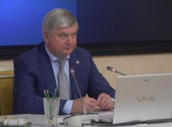 Опубликован указ о запрете пользования беспилотниками в Воронежской области