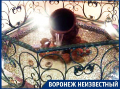Почему весь мир ломает голову над значением герба Воронежа