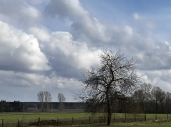 Никакой сухой Пасхи: как не замёрзнуть и не промокнуть в ближайшие три дня в Воронеже
