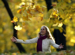 Синоптики рассказали, когда в Воронеже закончится солнечная погода