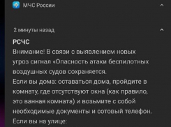 О выявлении новых воздушных угроз воронежцев предупредило МЧС