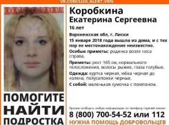 В Воронежской области 16-летняя девушка загадочно исчезла, выйдя из дома