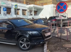 Иномарки запарковали собой зебру для слабовидящих и попали на видео в Воронеже 