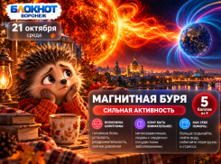 Метеозависимые, готовьтесь:  магнитная буря грядёт в Воронеж