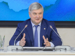 Губернатор Гусев позвал воронежцев на голосование по Конституции ради «твердого фундамента будущего России»