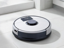 Валера, Золушка, Мистер Круглый: какие имена воронежцы дают роботам-пылесосам 