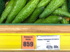 Я лучше мяса куплю: воронежцев возмутили космические цены на огурцы