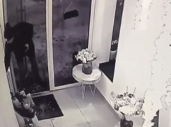 На видео сняли, как парень четко обокрал элитный салон цветов в Воронеже