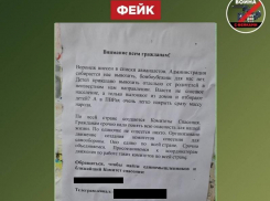 Сообщения о готовящемся ядерном ударе ВСУ и НАТО по Воронежу назвали фейком 