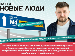 Партия «Новые люди» предлагает отменить оплату проезда по участку М4 для жителей Воронежа