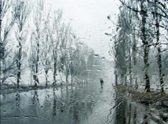 Плюсовую температуру с дождями обещают воронежцам синоптики