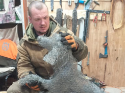 Воронежский мастер-древопил взял да и связал себе собаку