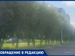 «Какая она красивая», - о приговоренной к уничтожению рябиновой аллее рассказала жительница Воронежа