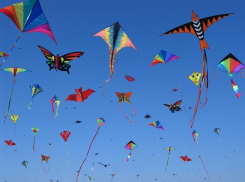 В воронежское небо выпустят воздушных змеев