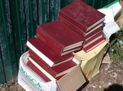 Безжалостное отношение к кладезю знаний заметили на воронежской улице