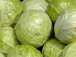 Подозрительную украинскую капусту не пустили в желудки воронежцев