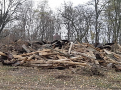 Варварским уничтожением усадьбы под Воронежем заинтересовалась прокуратура