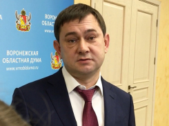 На 50% хотят увеличить расходы на пиар Владимира Нетесова и Воронежской облдумы