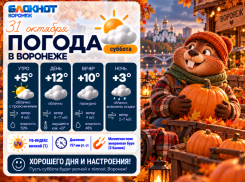 Дождь поморосит над городом: прогноз погоды в Воронеже