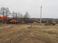 В заказнике «Воронежском» незаконно строят коттеджи 