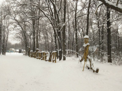 Бревенчатый арт-объект появился в воронежском «Олимпике»