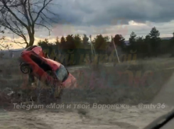 В воронежском микрорайоне на дереве повис помятый автомобиль 