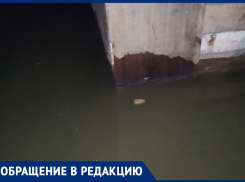 Смрадный апокалипсис показали под детским садом в Воронеже 