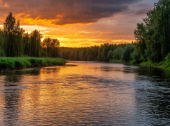 Дождливая жаришка нагрянет в Воронежскую область