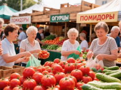 Помидоры и огурцы резко подешевели в Воронеже 