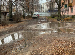 Грязевые ванны объявили бой чистым ботинкам воронежцев