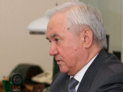 Экс-губернатору Воронежской области Владимиру Кулакову исполнилось 82 года