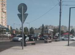 Отсутствие нормальных мусорок на Димитрова беспокоит воронежцев