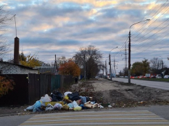 Помойке посвятили аккаунт в Instagram в Воронеже 