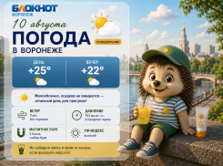 Похолодание до +15 ожидается в Воронеже: прогноз погоды