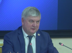 Губернатор Гусев поддержал запрет на полеты беспилотников гражданского назначения в Воронежской области