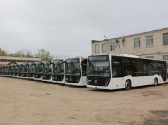 Новые большие автобусы показала мэрия Воронежа