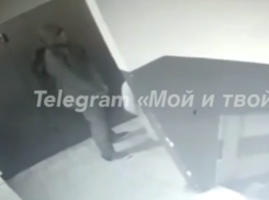 Нападение педофила на школьницу попало на видео в воронежском подъезде 