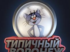 «Типичный Воронеж» вернулся к прежнему владельцу 