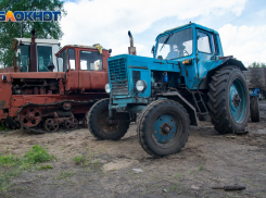 Минсельхоз в шоке: воронежские чиновники разучились тратить деньги