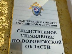 Тело пропавшего 16-летнего подростка из Воронежа нашли в реке