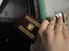 Воронежские судебные приставы поймали грабителя