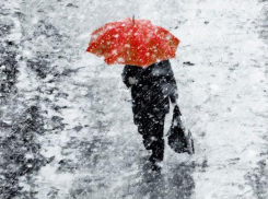 На выходных Воронеж зальет дождем