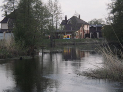 Жители Новоусманского района выступили против коттеджей вдоль реки Усманка 